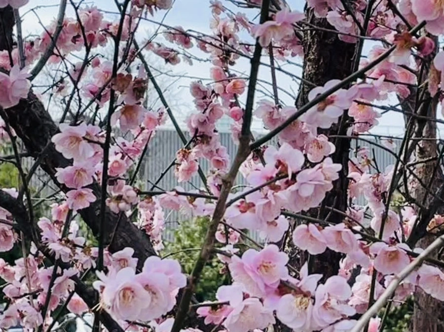 IMG_6624.jpg?type=w966