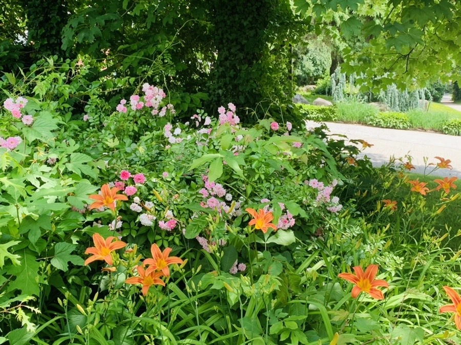 v37A3jo8efGdUriOax3FiQSLiPk