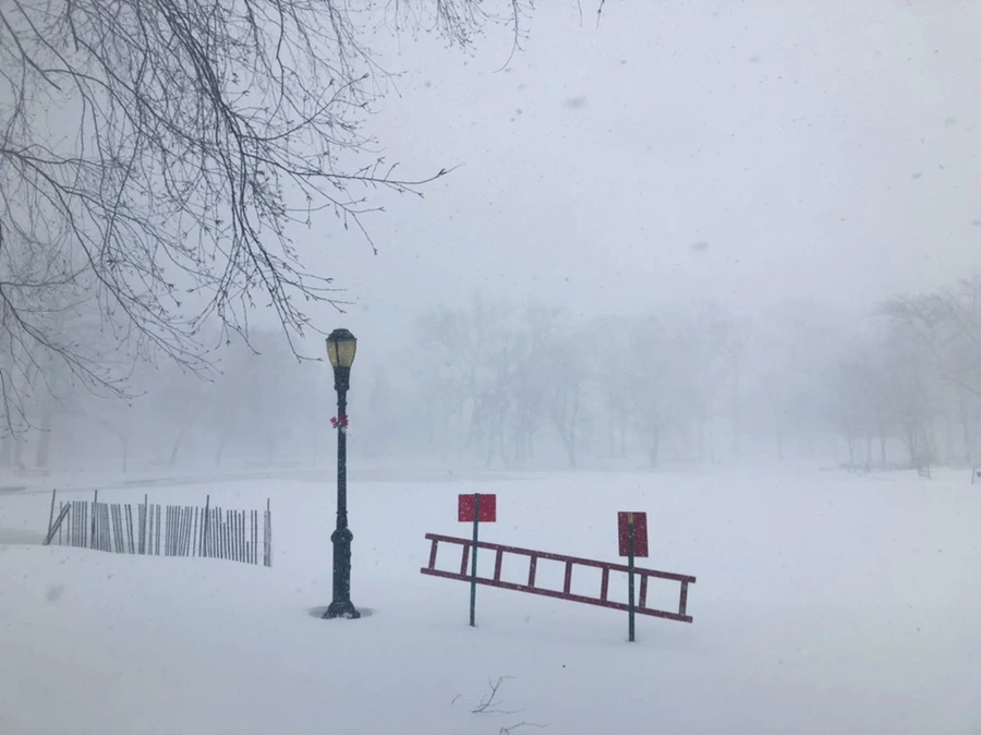 IMG_8812.jpg?type=w966