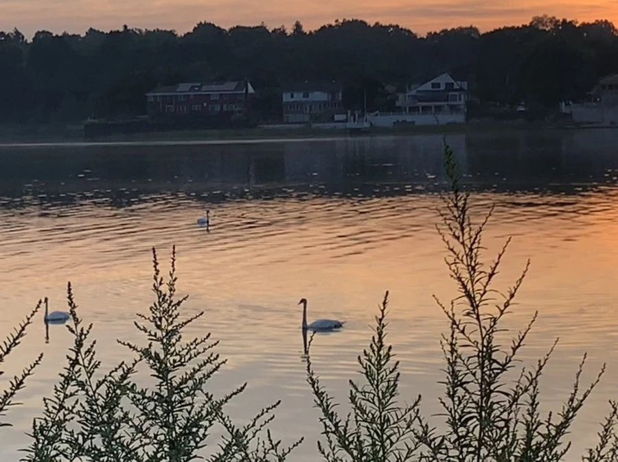 IMG_6820.jpg?type=w966