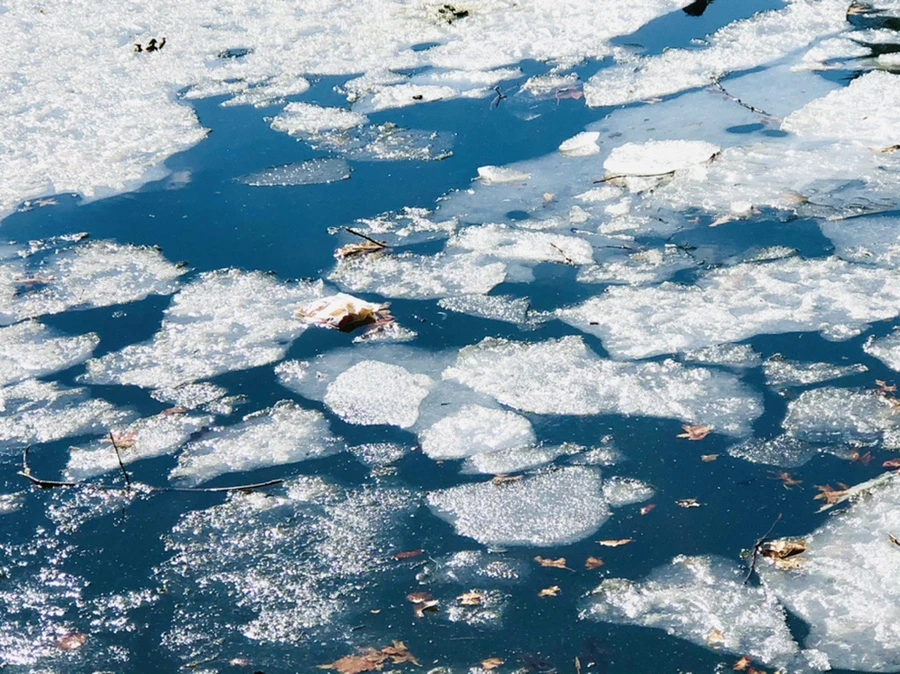 IMG_5071.jpg?type=w966