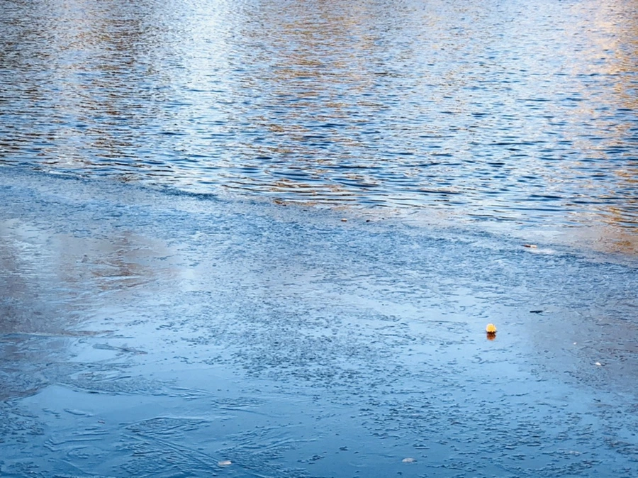 IMG_1099.jpg?type=w966