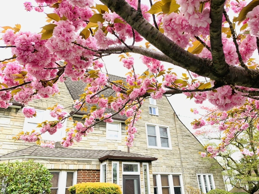 IMG_6088.jpg?type=w966