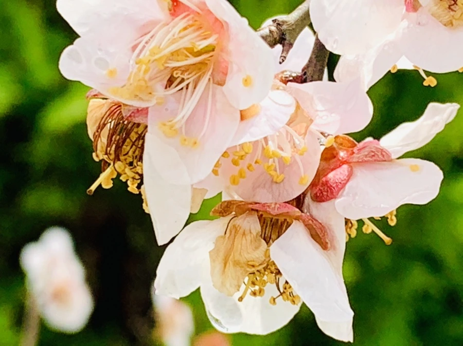 IMG_3982.jpg?type=w966