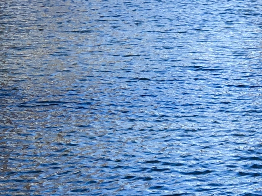 IMG_3836.jpg?type=w966