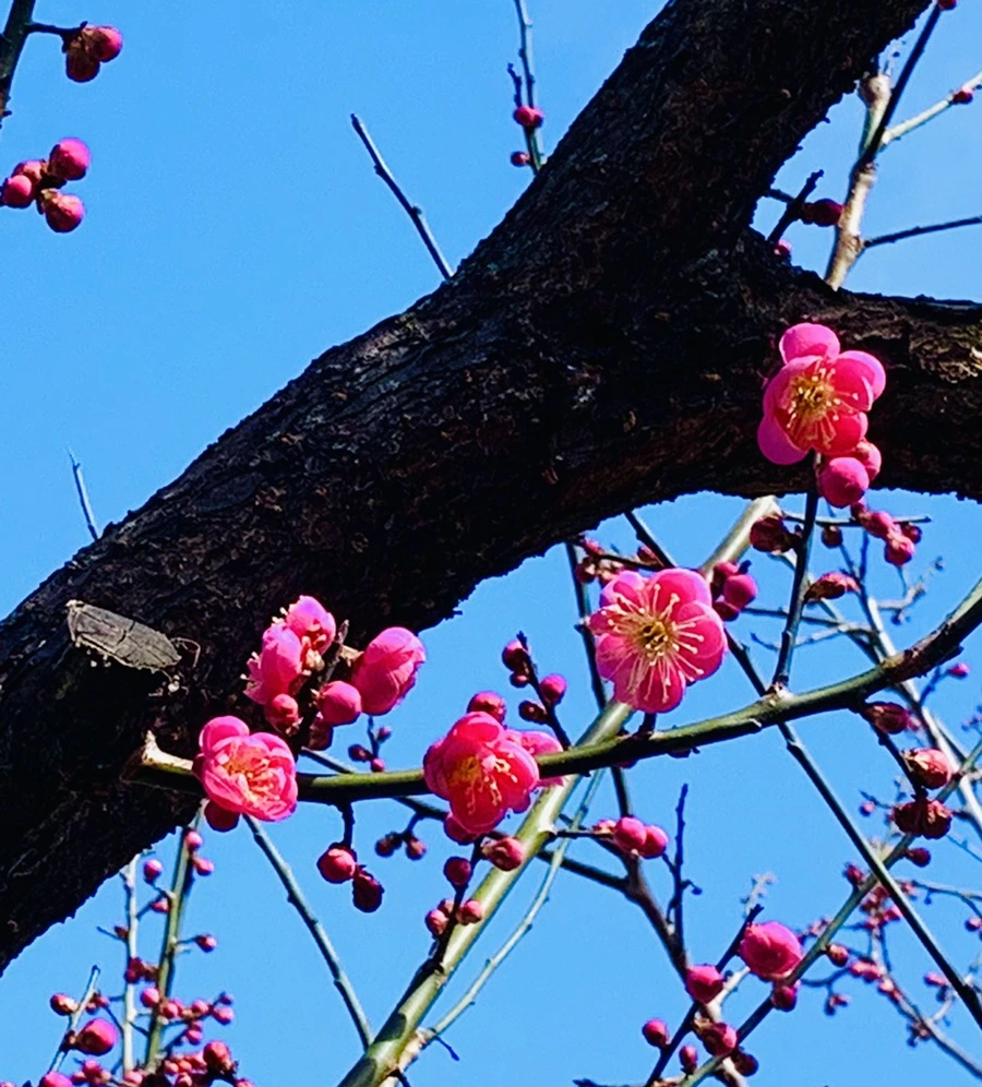 IMG_0646.jpg?type=w966