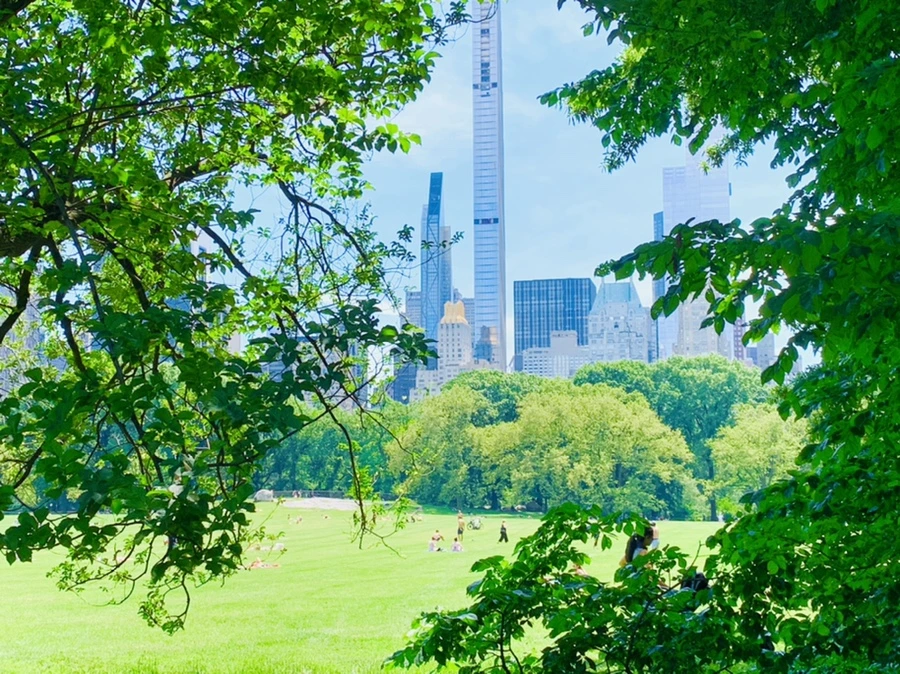 IMG_4961.jpg?type=w966