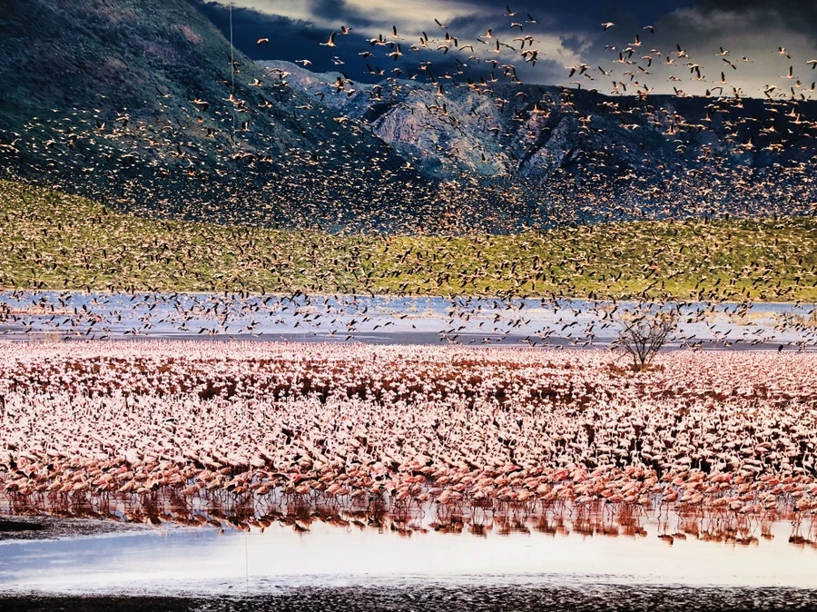 IMG_1303.jpg?type=w966