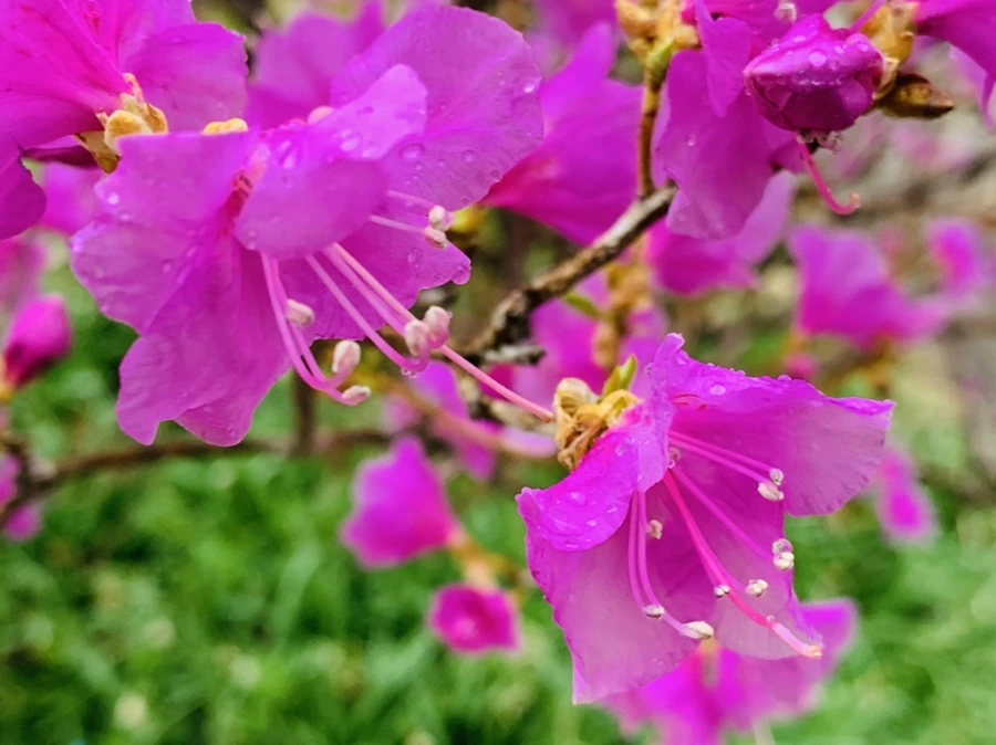 IMG_4845.jpg?type=w966