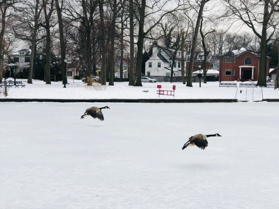 IMG_4333.jpg?type=w966