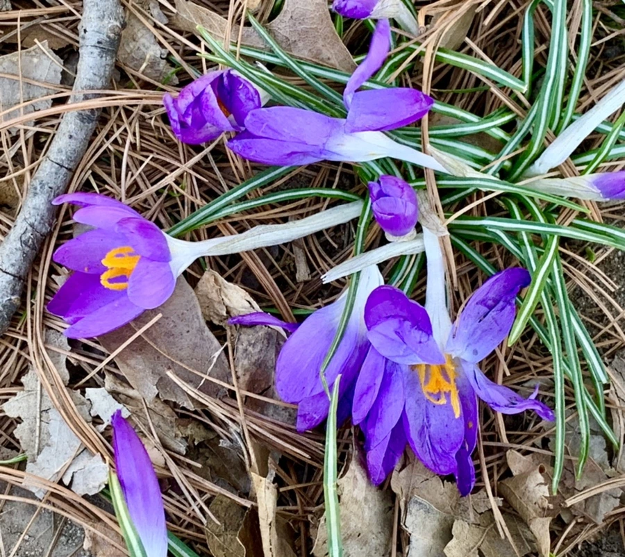 IMG_1462.jpg?type=w966