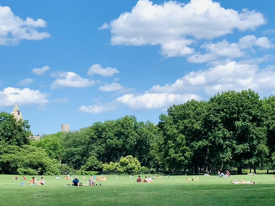 IMG_6347.jpg?type=w966