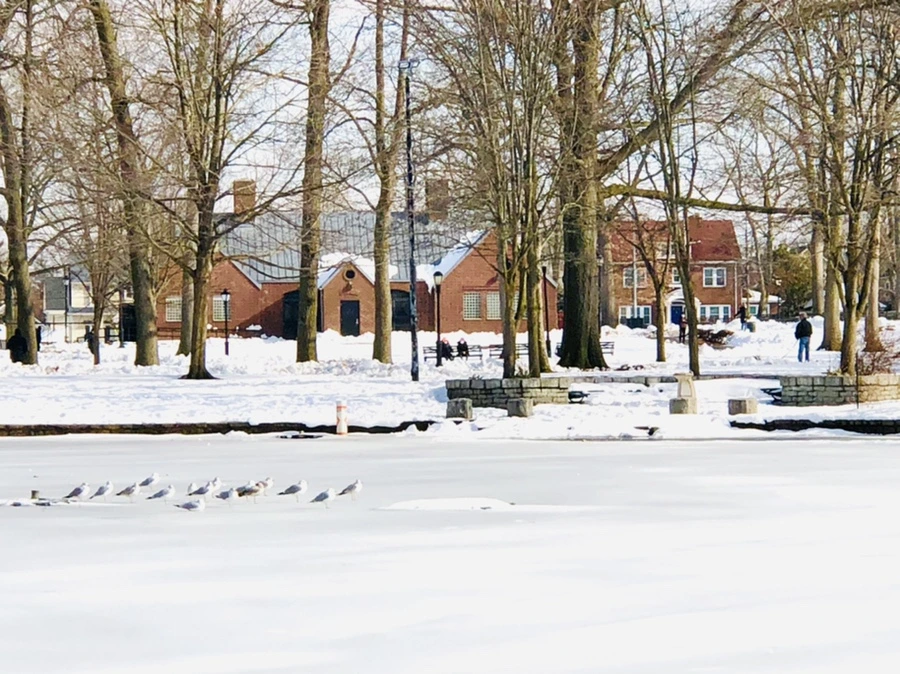 IMG_0091.jpg?type=w966