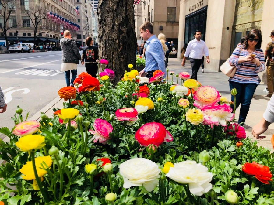 IMG_4353.jpg?type=w966