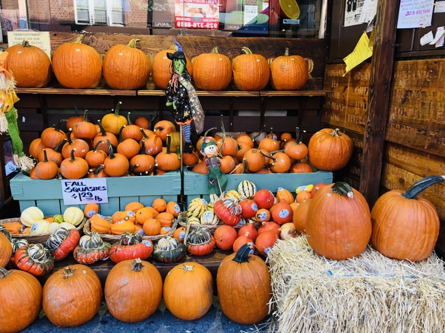 IMG_1206.jpg?type=w966