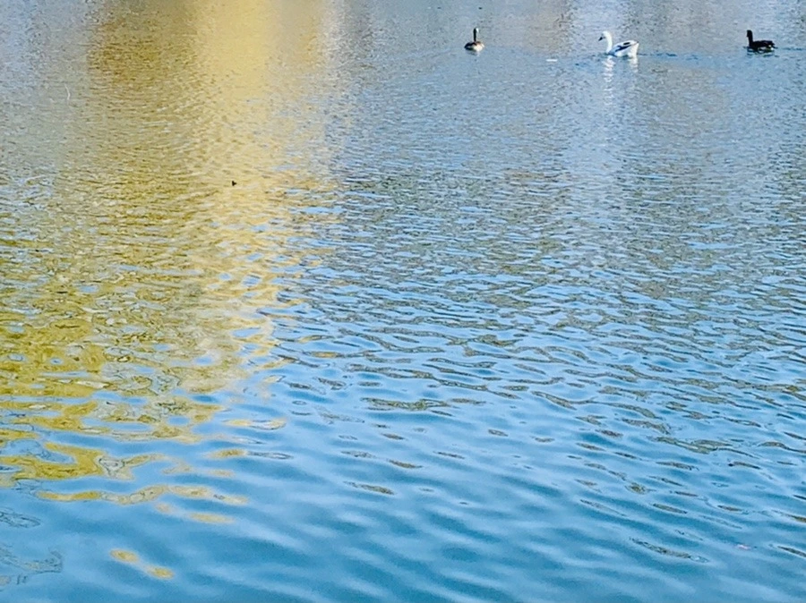 nLPIkyQCR9nZvUhMj75xOFJyVcw