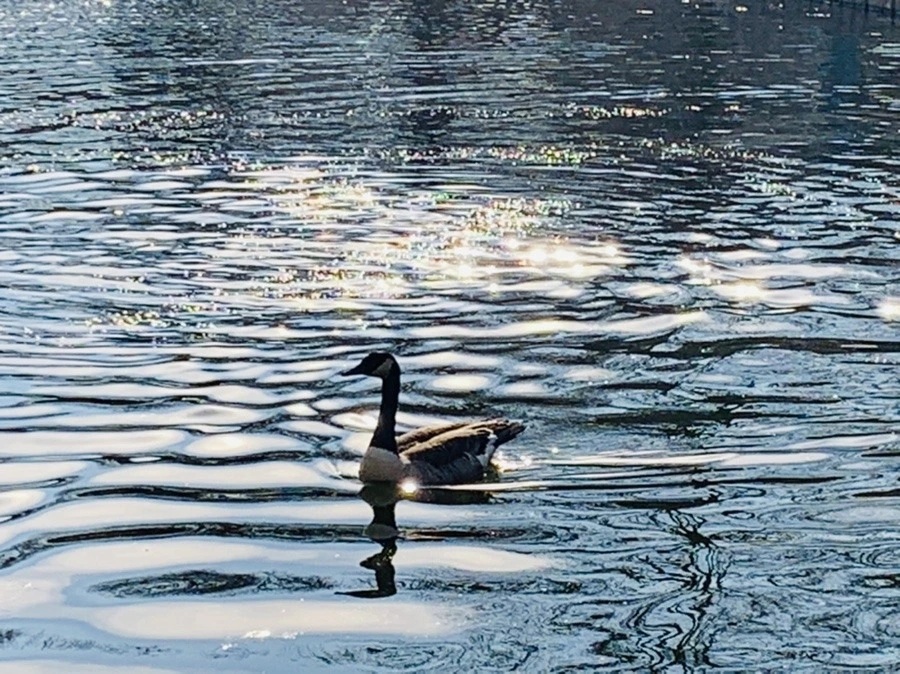 uHKF5tl83TM19u2CL1BjeQSz5qQ