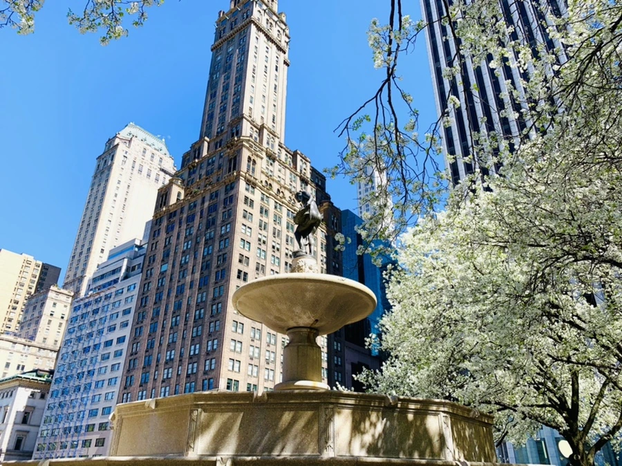 IMG_1611.jpg?type=w966