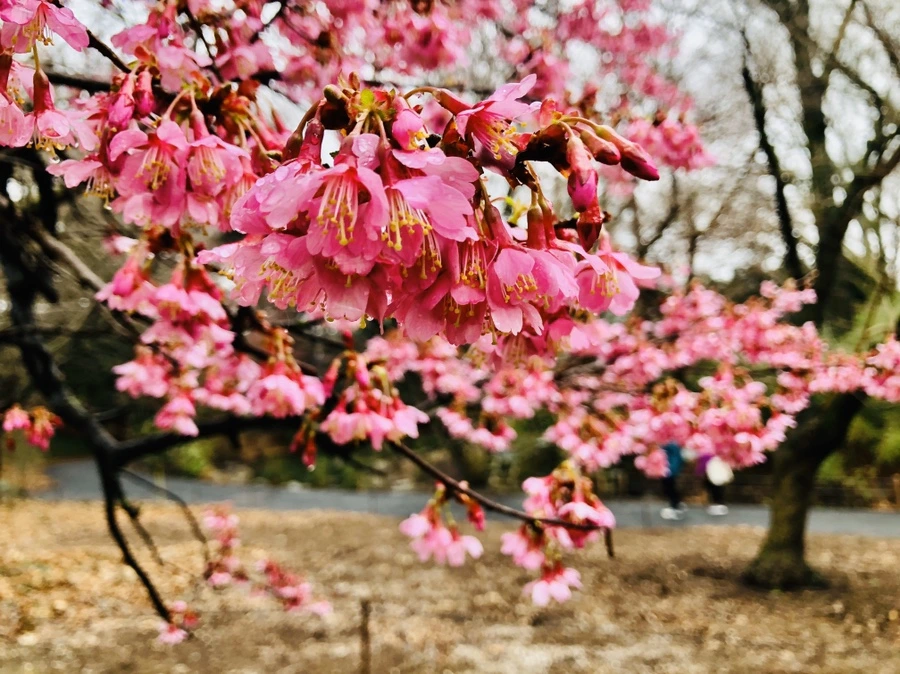 IMG_6193.jpg?type=w966