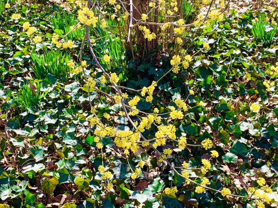 IMG_5665.jpg?type=w966