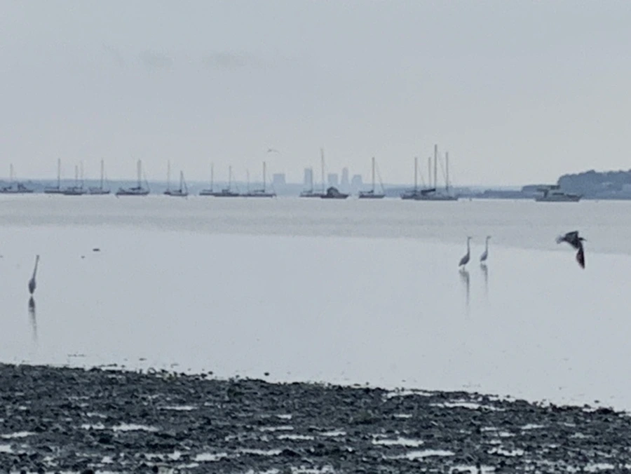 IMG_8104.jpg?type=w966