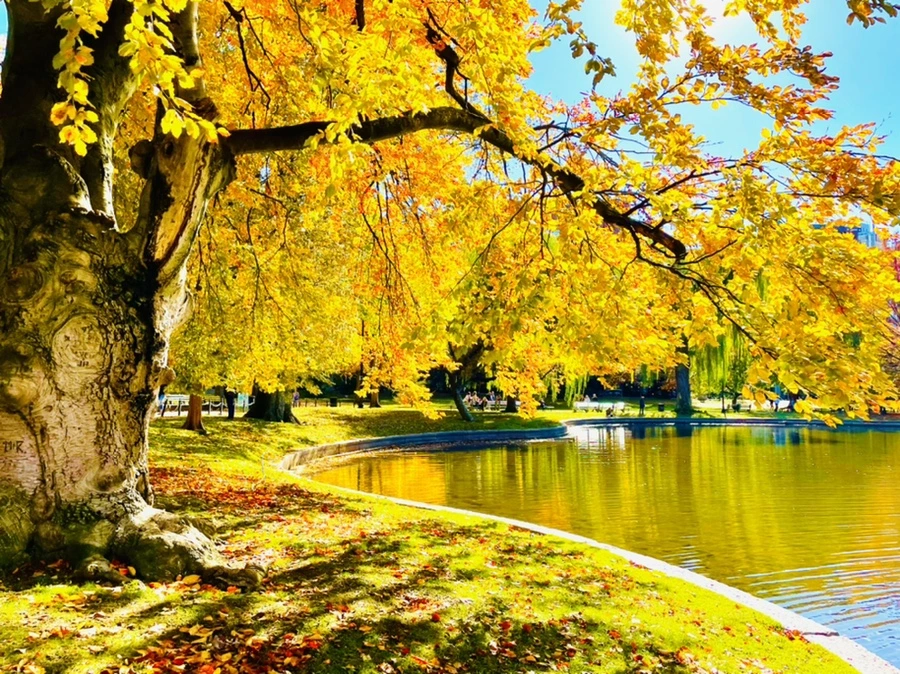 IMG_2558.jpg?type=w966