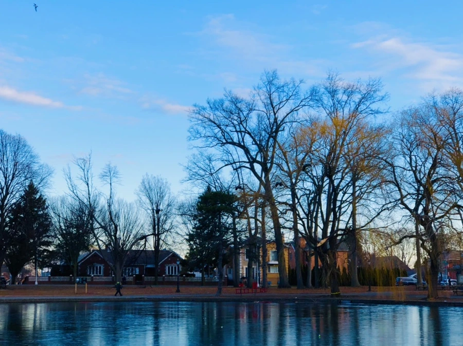 IMG_4901.jpg?type=w966