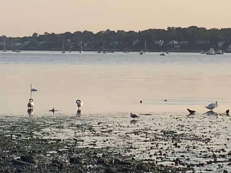 IMG_9769.jpg?type=w966