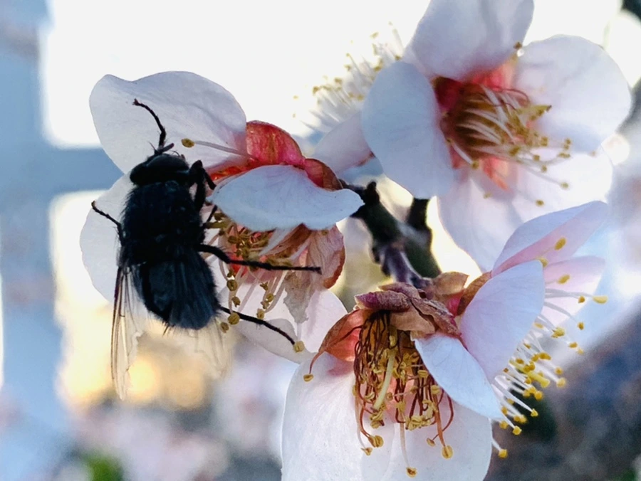 IMG_2723.jpg?type=w966