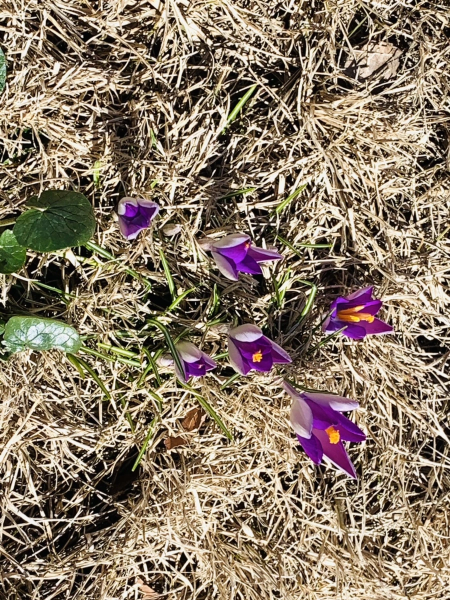 IMG_8230.jpg?type=w966