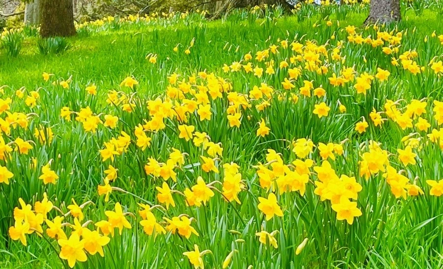 HQIkiSPjIt9mVEQjymK5ufMFC_A