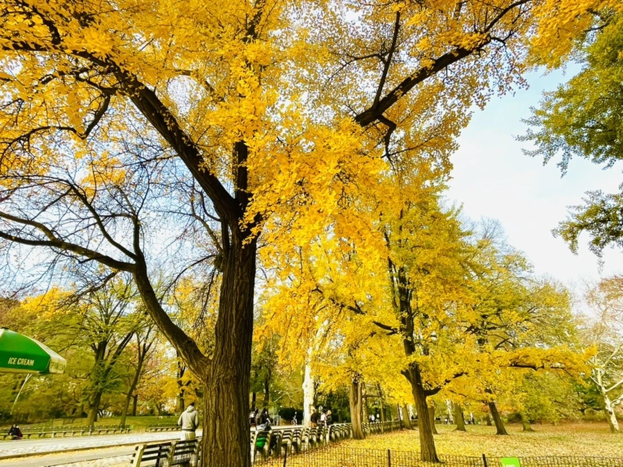 IMG_5615.jpg?type=w966