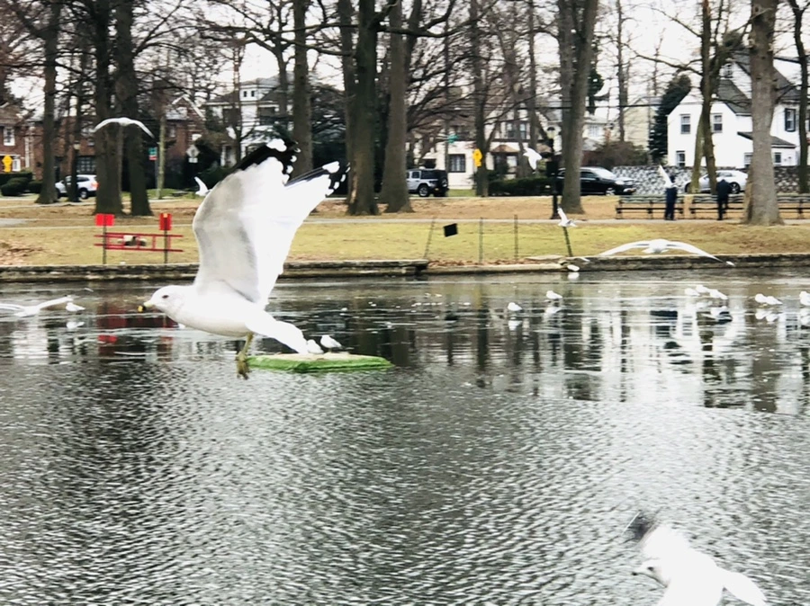 IMG_3287.jpg?type=w966