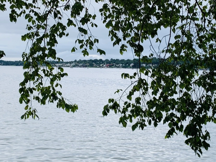 IMG_7764.jpg?type=w966