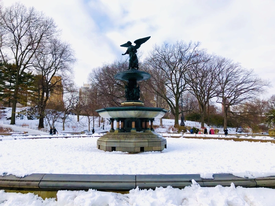 IMG_7351.jpg?type=w966