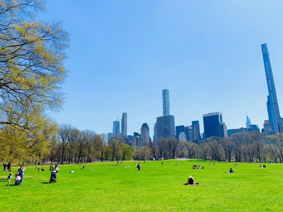 IMG_8930.jpg?type=w966