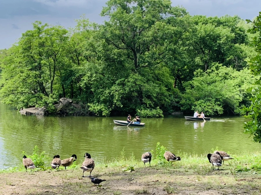 IMG_9889.jpg?type=w966