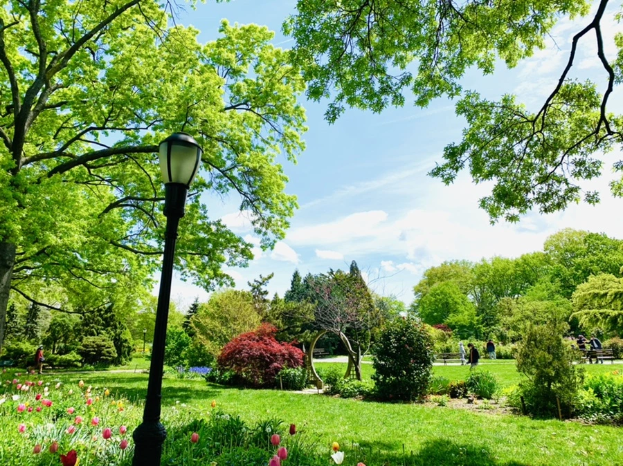 IMG_1395.jpg?type=w966