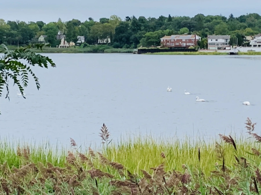 IMG_6176.jpg?type=w966