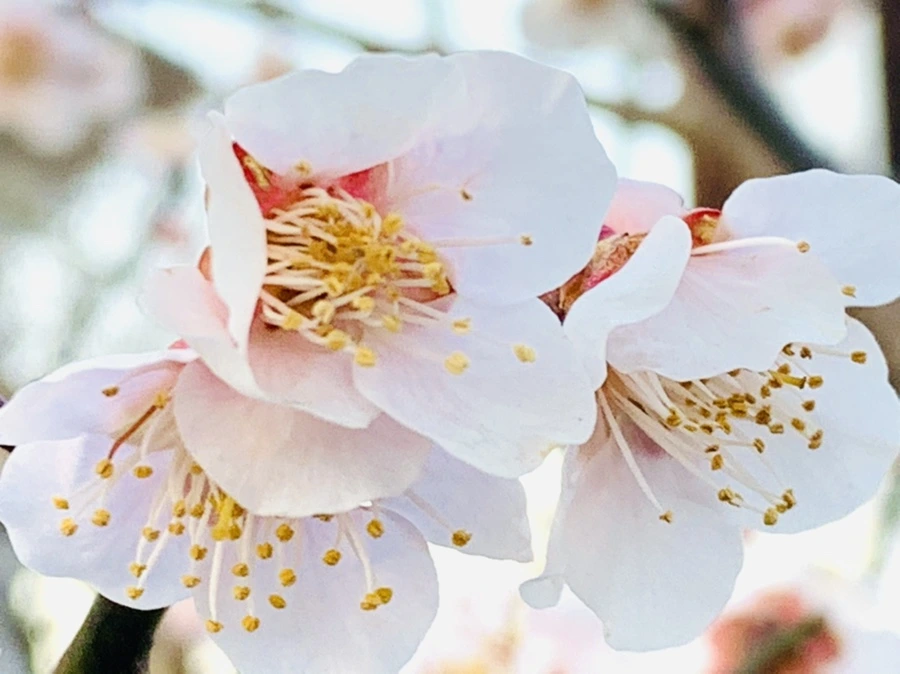 IMG_2291.jpg?type=w966