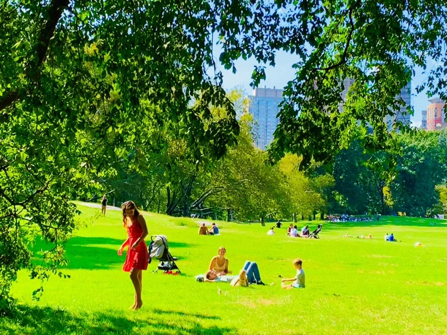 IMG_9661.jpg?type=w966