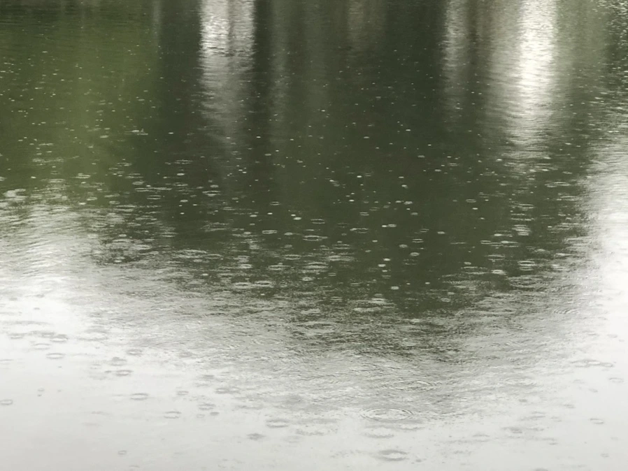 IMG_3293.jpg?type=w966