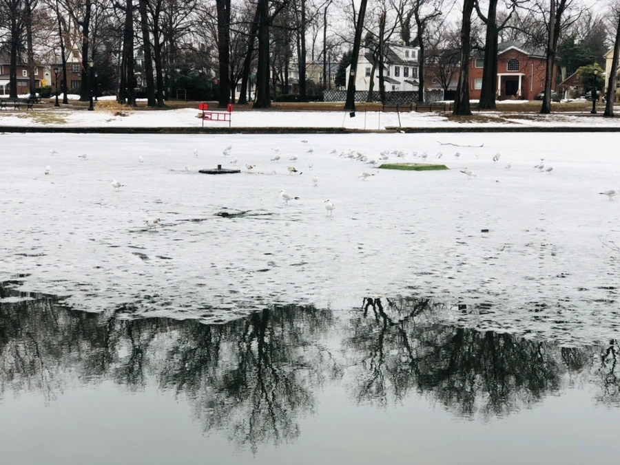 IMG_5545.jpg?type=w966