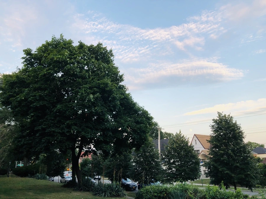 IMG_5538.jpg?type=w966