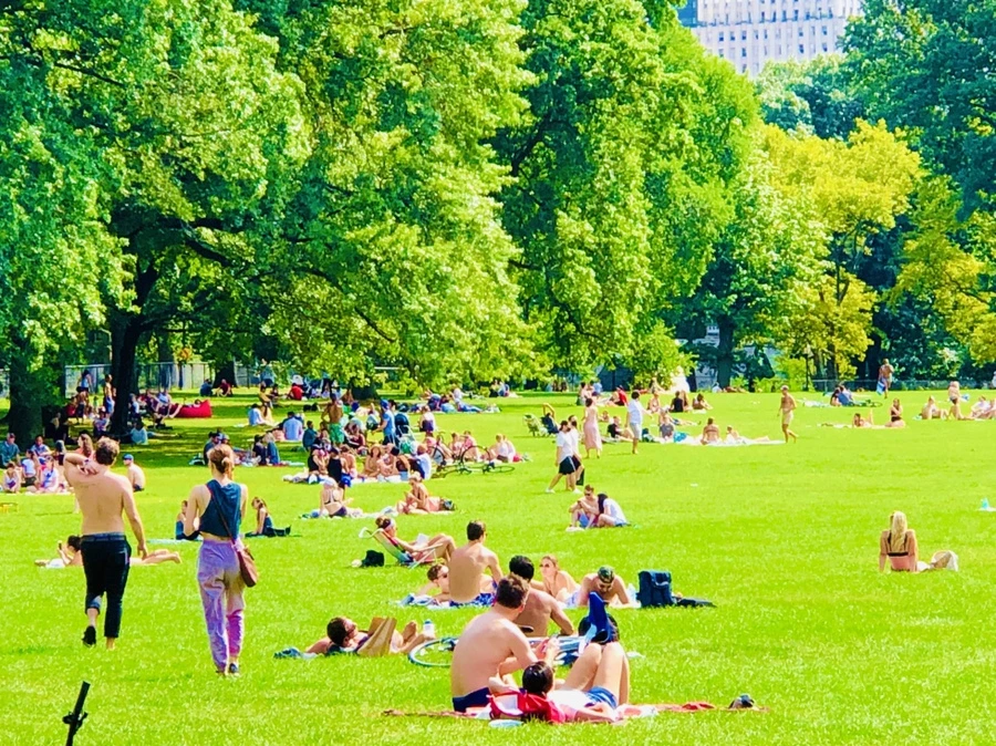 IMG_9524.jpg?type=w966