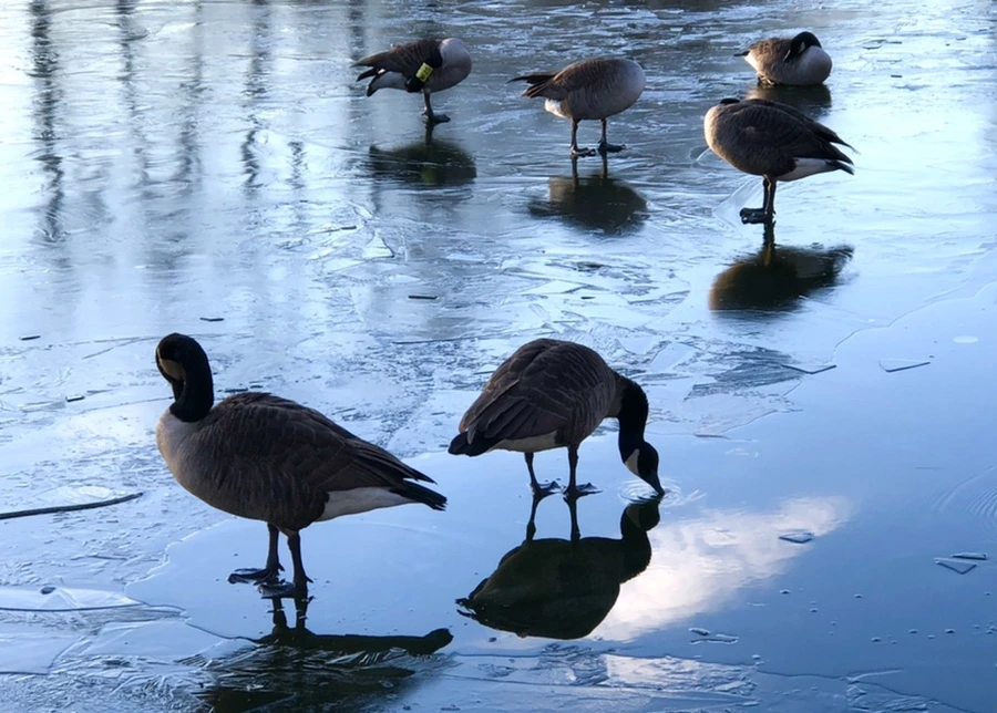 IMG_4926.jpg?type=w966