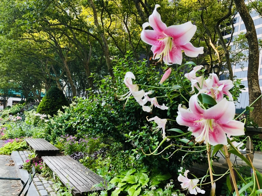 IMG_3359.jpg?type=w966