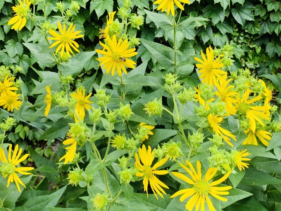 IMG_9351.jpg?type=w966