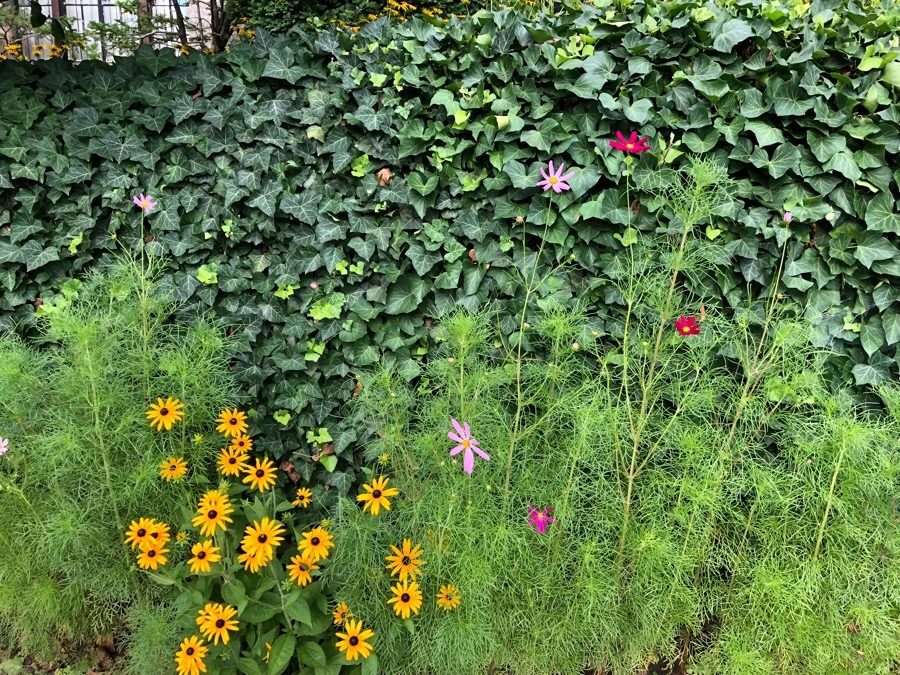 IMG_0255.jpg?type=w966