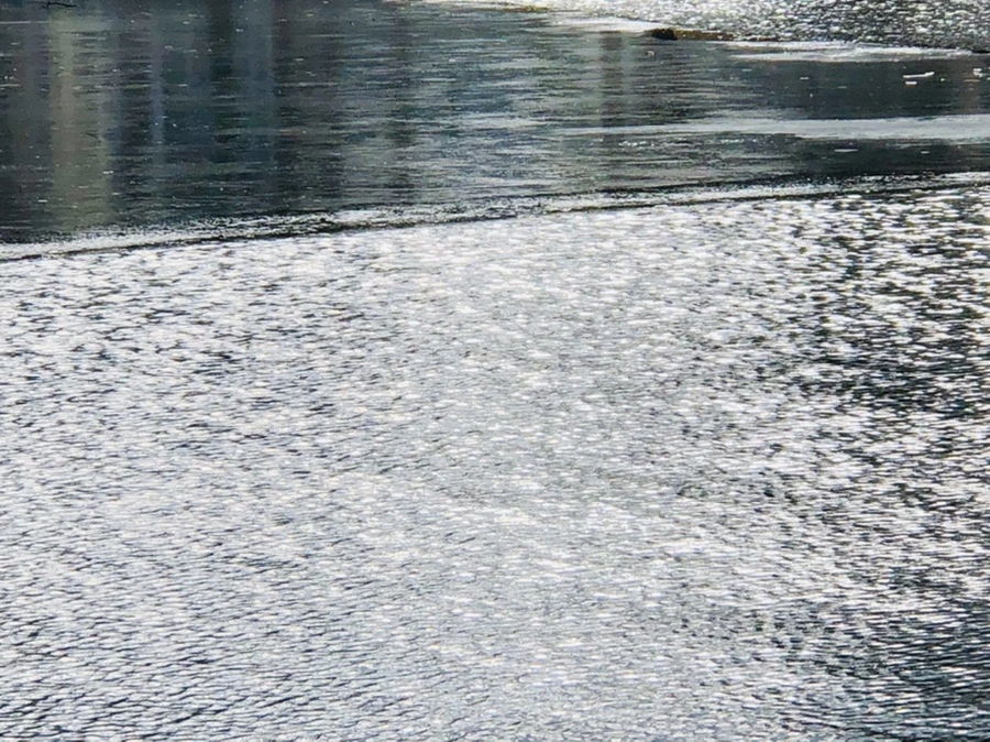 IMG_5281.jpg?type=w966